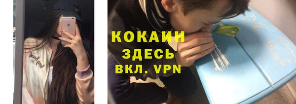 спайс Пересвет